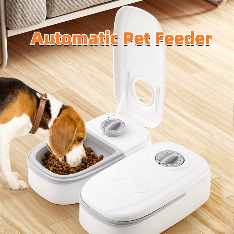 EcoFlow 2-in-1 Gravity Pet Feeder & Water Dispenser – Minimalist Design, No Electricity Needed