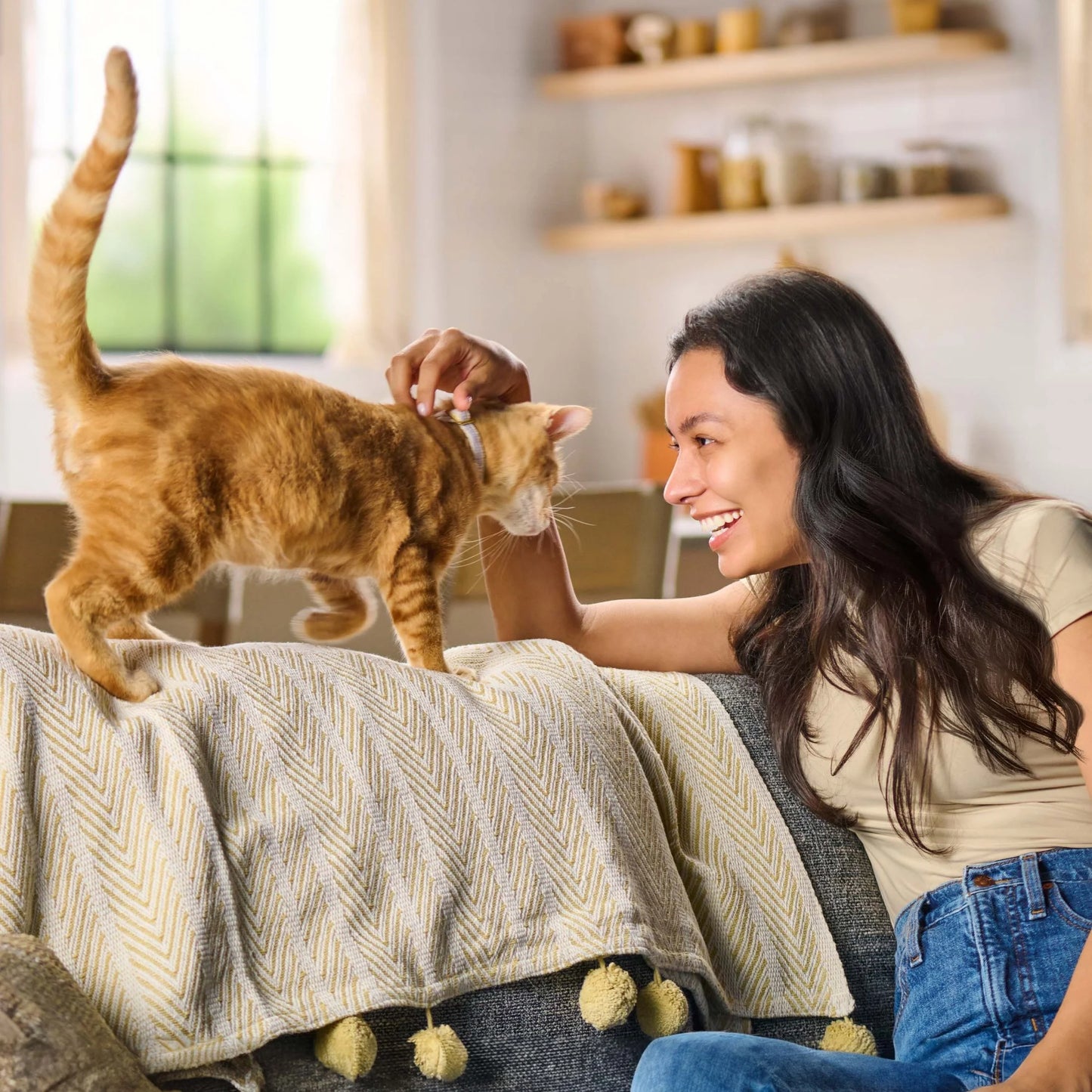 Meow Mix® Original Choice Dry Cat Food – 16 lb Bag