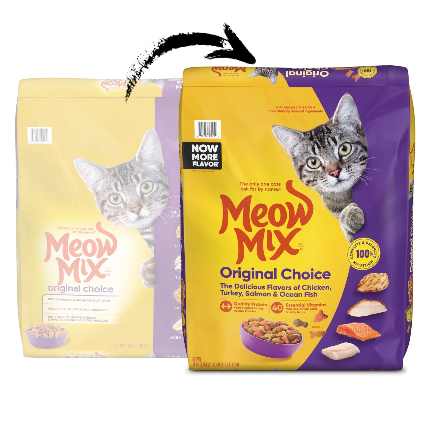 Meow Mix® Original Choice Dry Cat Food – 16 lb Bag
