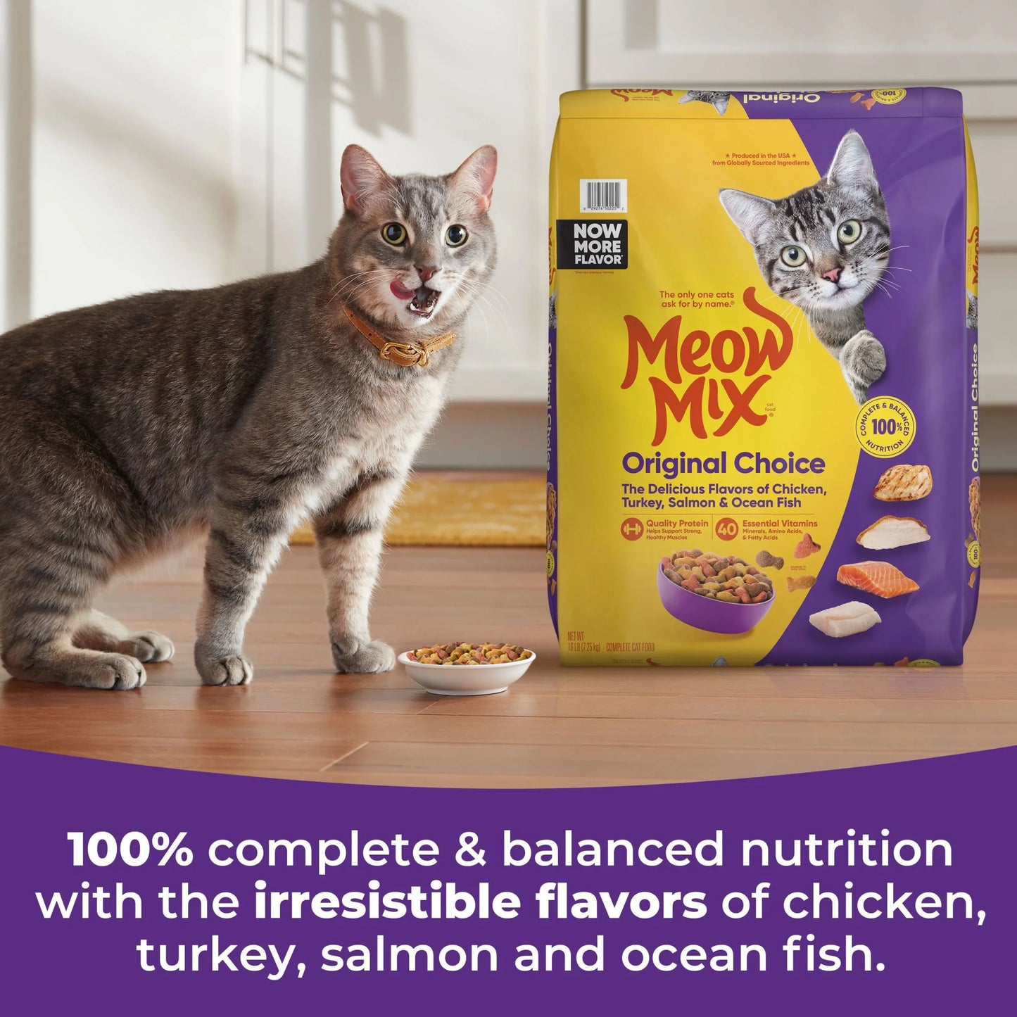 Meow Mix® Original Choice Dry Cat Food – 16 lb Bag